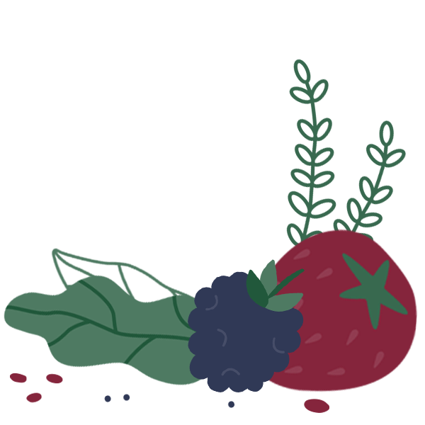 Fruit and Vegetable illustration