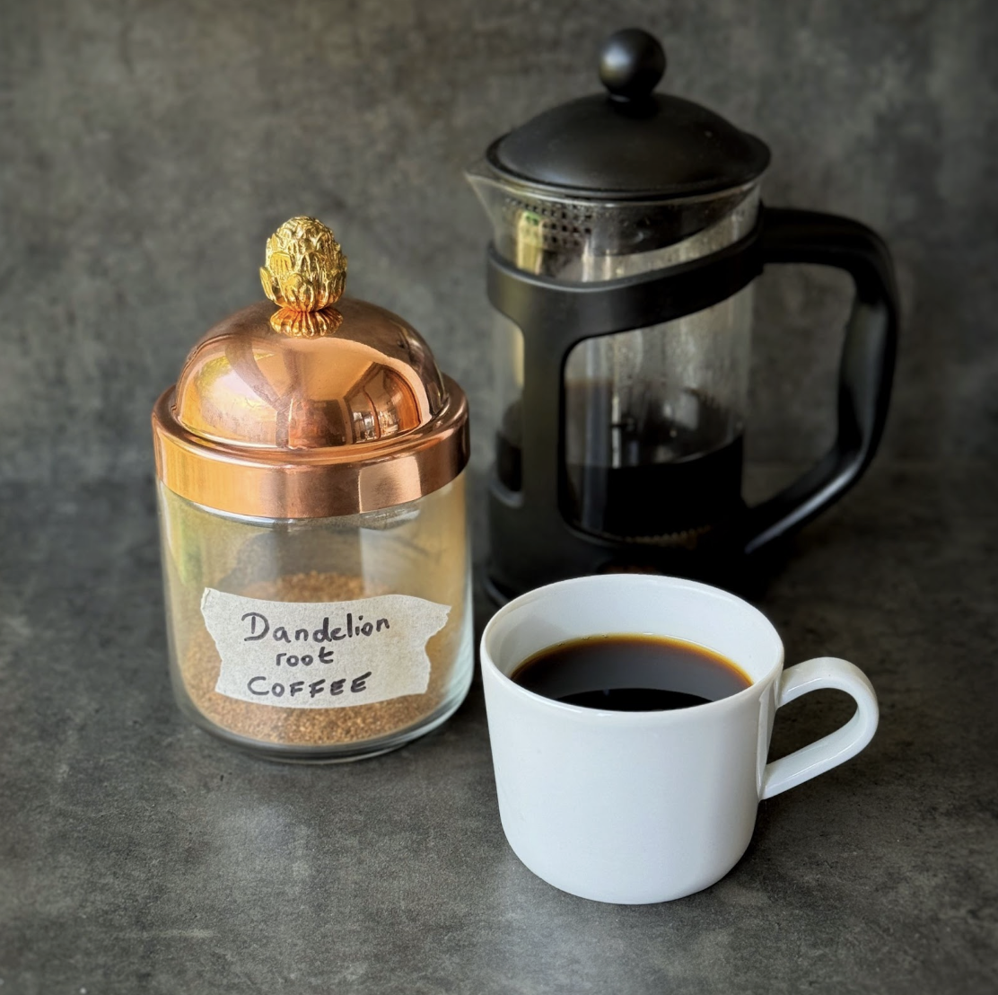 photo of dandelion root coffee in a coffee cup next to a french press and a jar labelled 'dandelion root coffee'