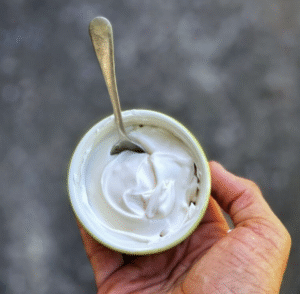 a photo of homemade Vegan Mayonnaise