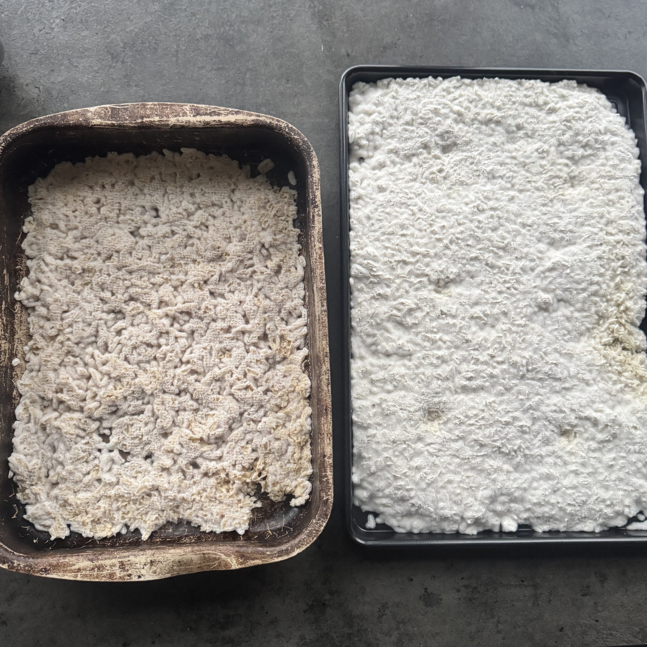 a photo of Homemade Rice Koji (with Dehydrator)