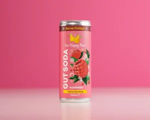 the happy pear gut soda raspberry
