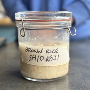a photo of Shio Koji (White or Brown Rice Koji)